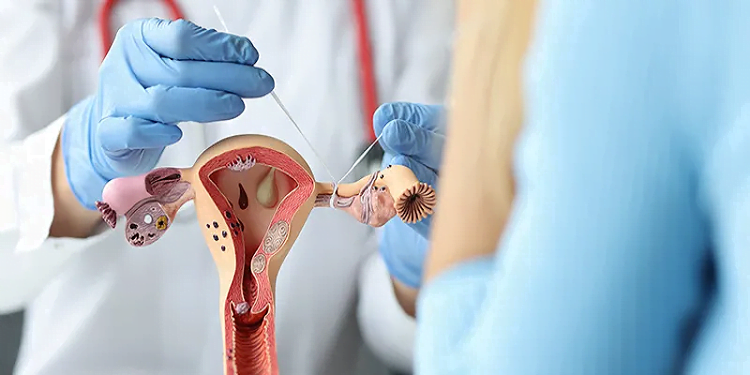 Gynecologist