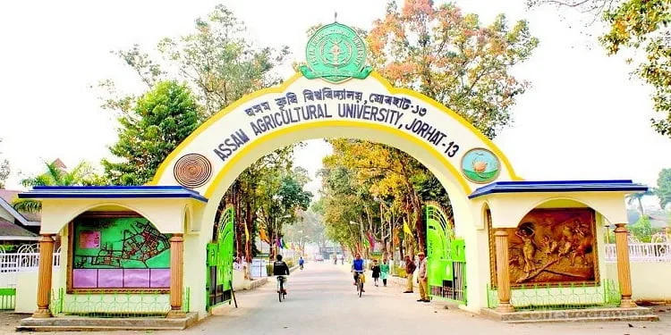 Assam Agricultural University’s 23rd Convocation: Celebrating Excellence in Agriculture