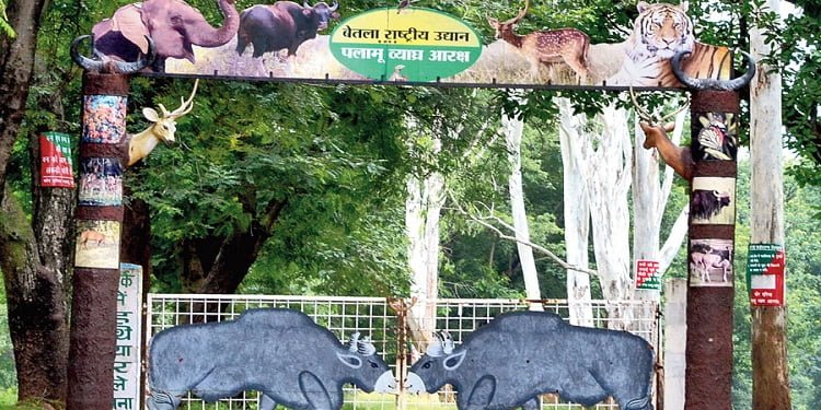 Palamau Tiger Reserve