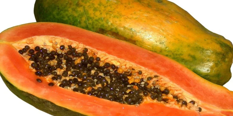 7 Reasons to Include Papaya in Your Winter Diet