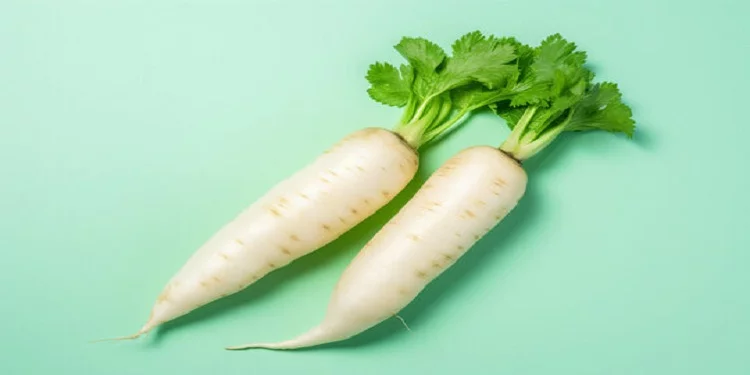 The Benefits and Disadvantages of Eating Radish