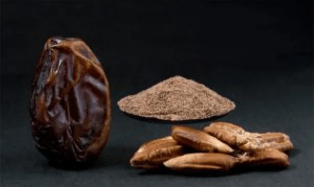 Unveiling the Health Benefits of Date Seed Powder: A Nutritional Powerhouse