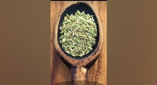 Unlocking Nature’s Potential: 10 Seeds That Need to Be Soaked in Water