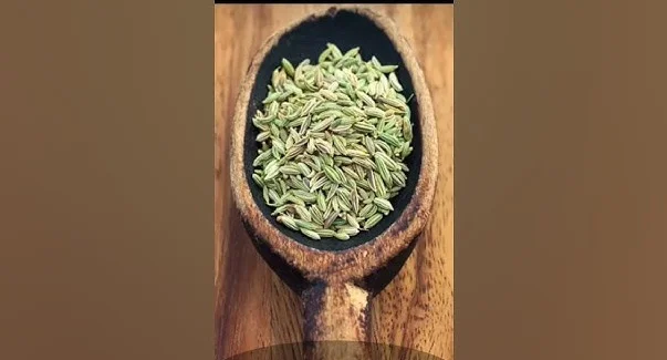 Unlocking Nature’s Potential: 10 Seeds That Need to Be Soaked in Water
