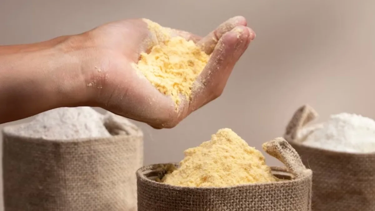 Is Sattu Really a Protein Powerhouse? A Closer Look at Its Nutritional Profile
